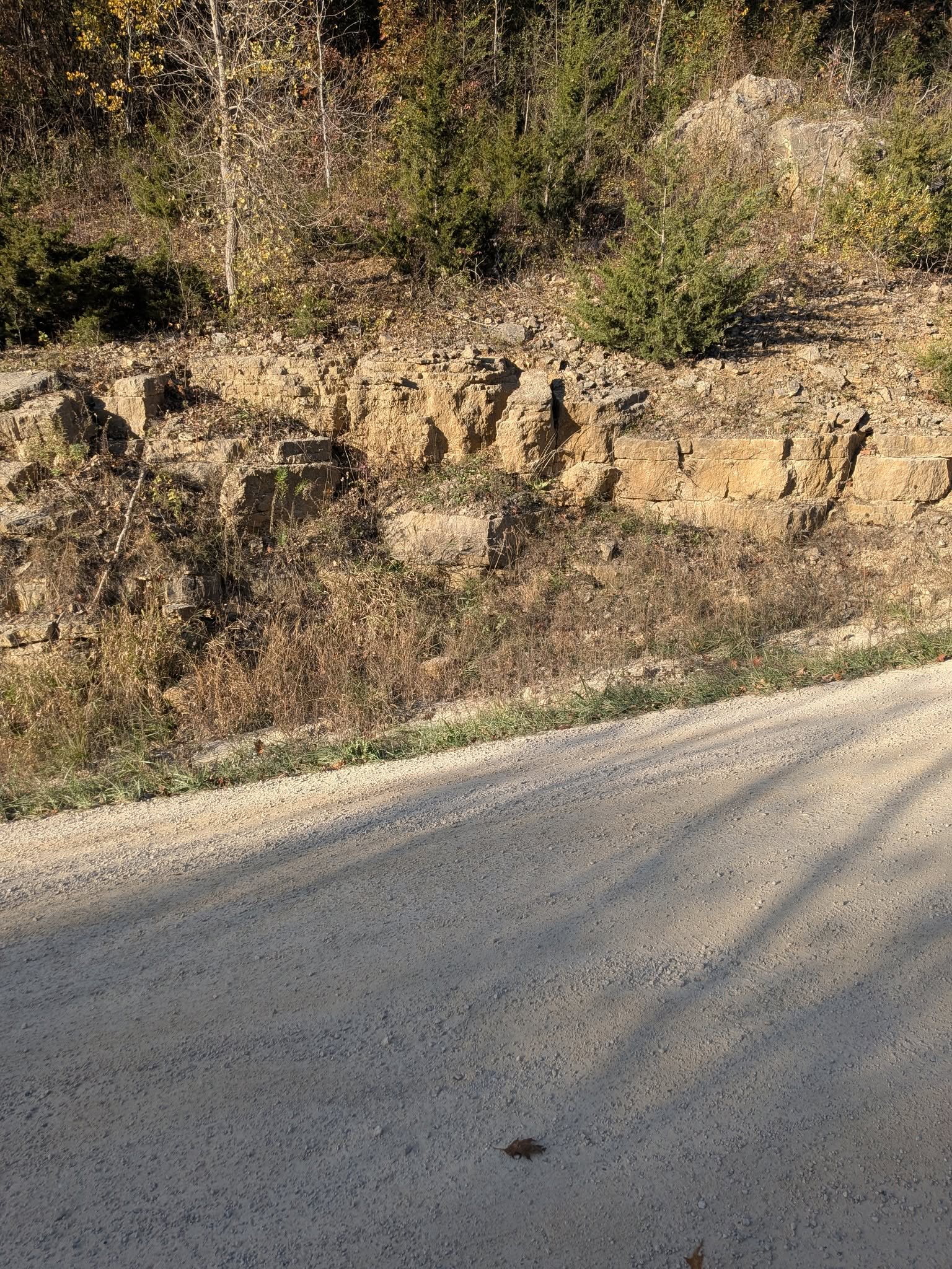 A Limestone outcrop near campus