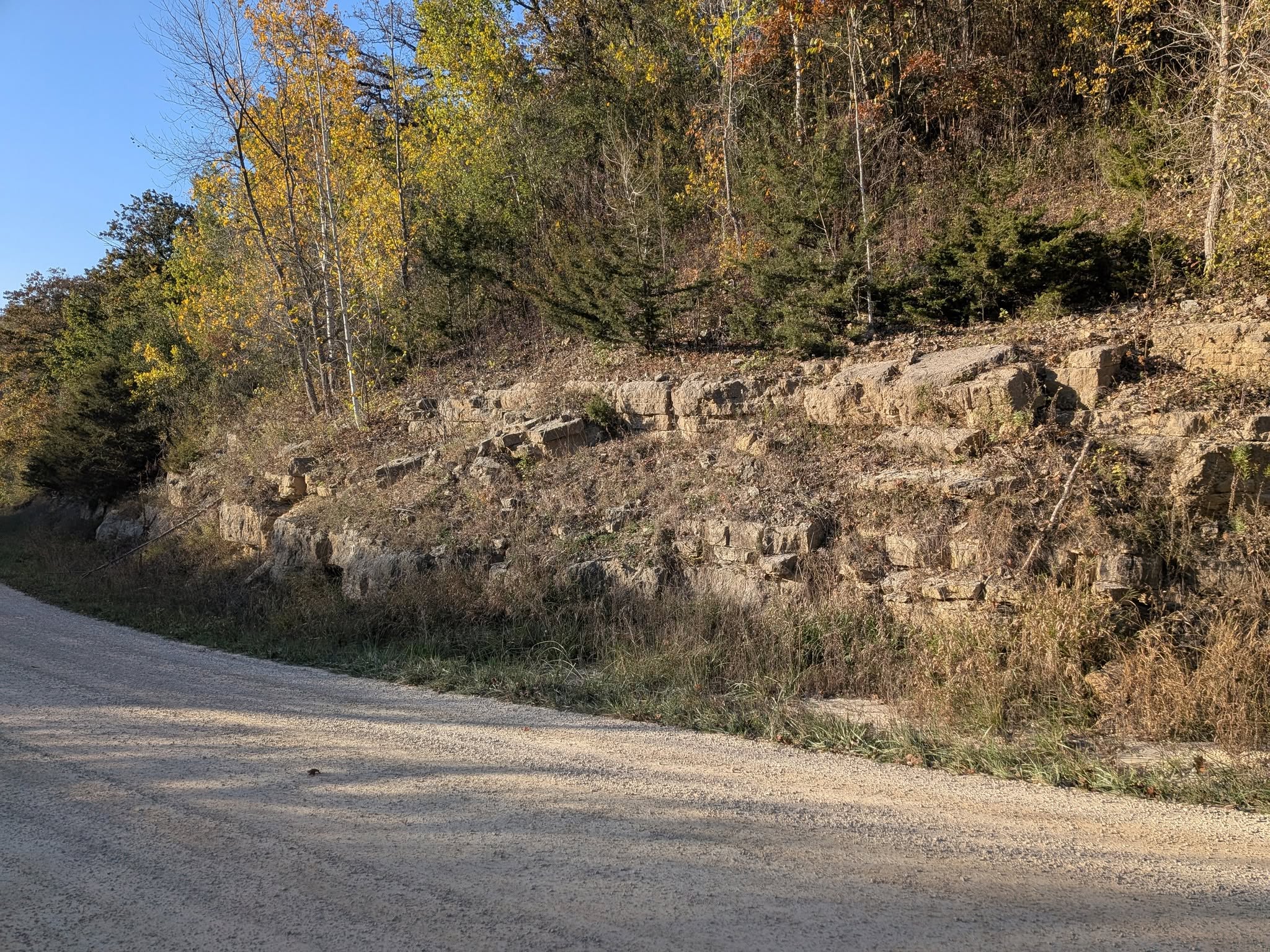 A Limestone outcrop near campus
