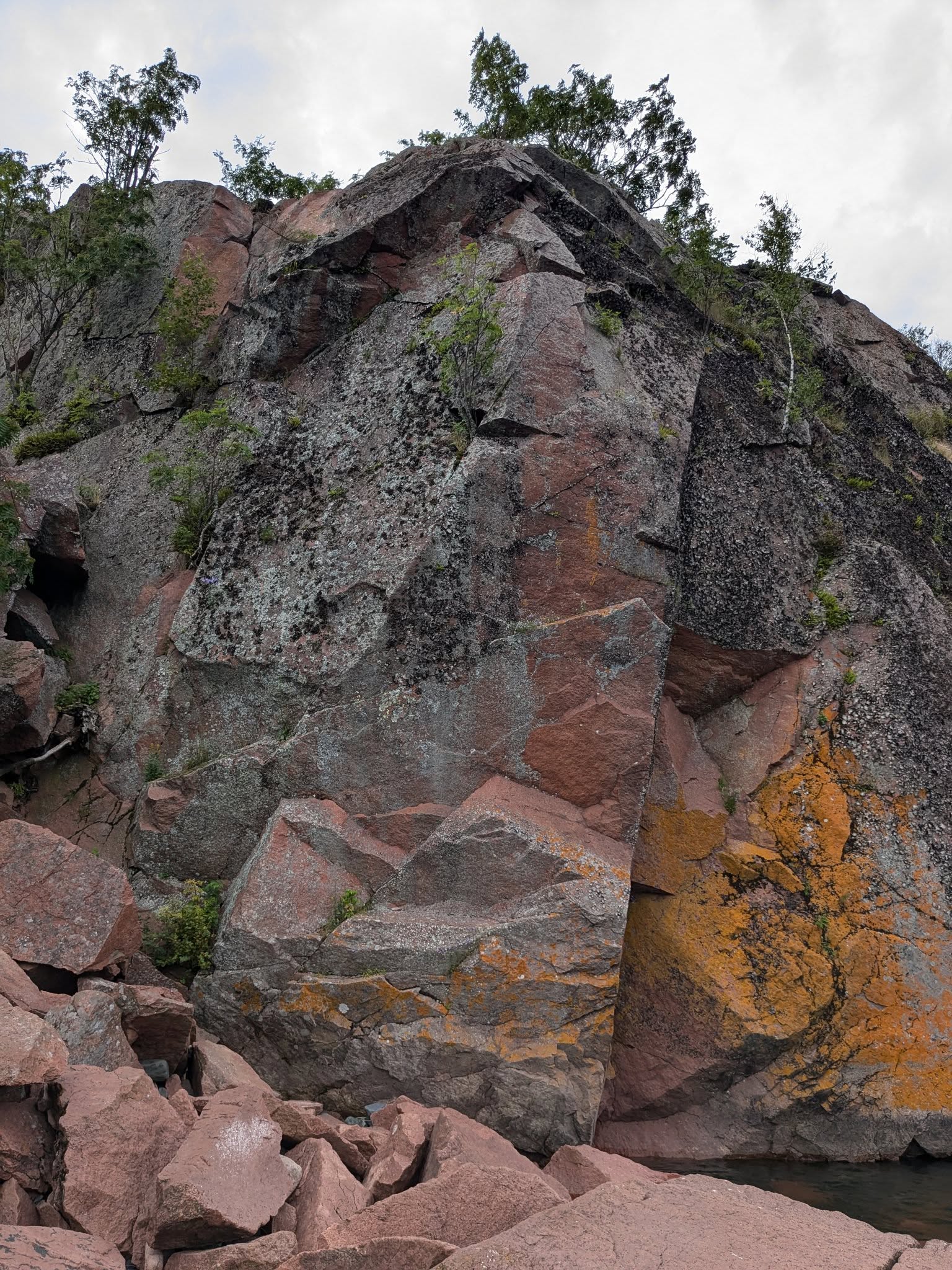 A university of Lichen civilizations on a large cliff, Black Beach near Silver Bay MN